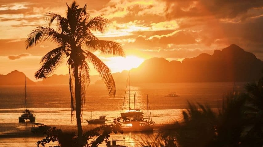 An orange sunset over Bacuit Bay, a coconut palm silhouetted in front of karst islands with yachts and a bangka moored on gold water.