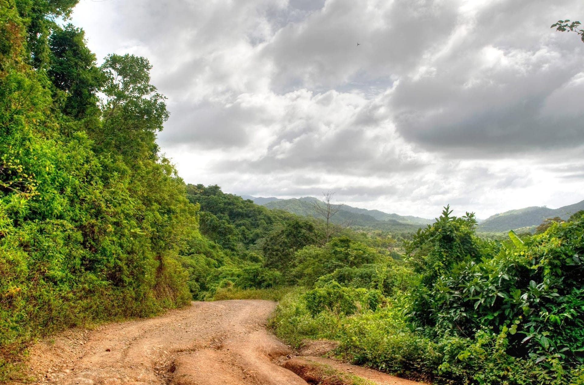 A rust-red dirt track curving downhill through dense jungle, rain-cut gullies in the surface and forested hills beyond under heavy cloud.