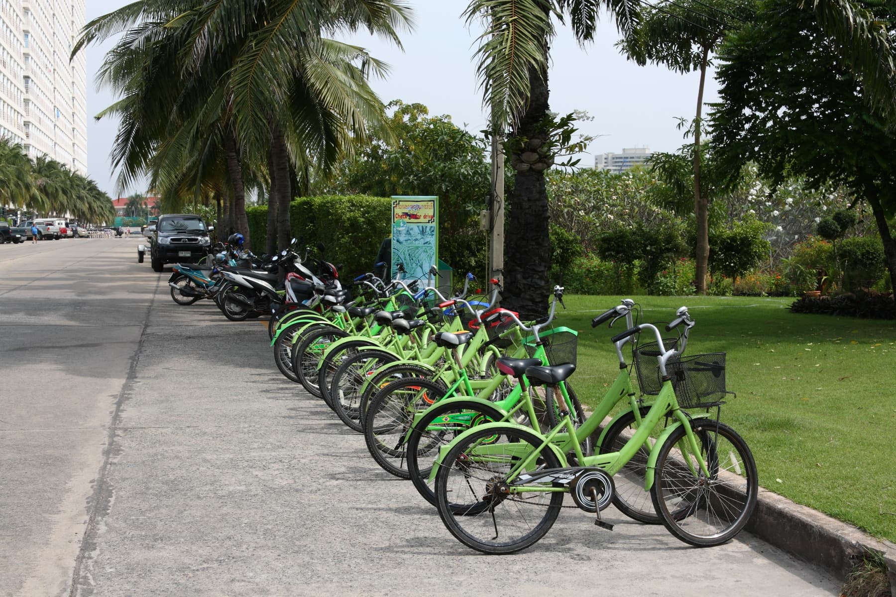 A long row of lime-green city bicycles with front wire baskets parked along a kerb beneath coconut palms.